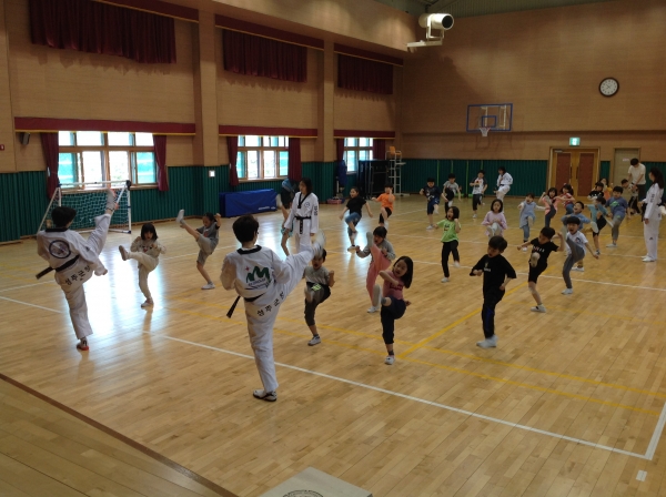 성주군청 태권도 선수단이 지역 초등학생을 대상으로 재능 나눔 봉사활동을 펼치고 있다(사진제공=성주군청)